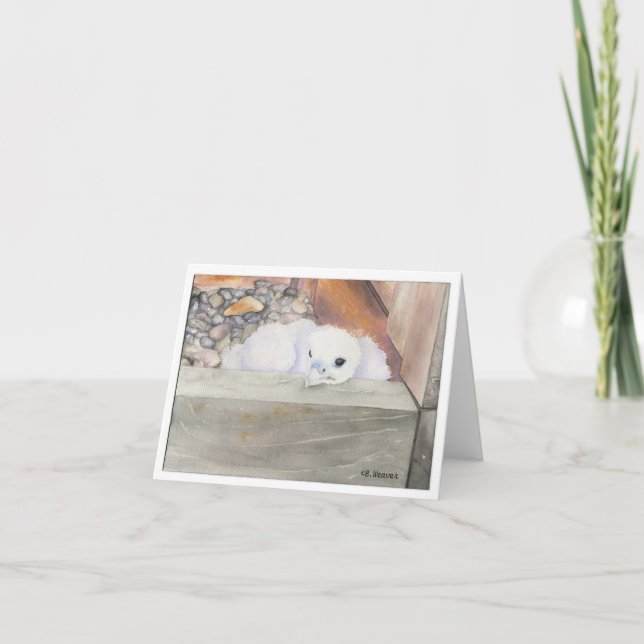 Carte B. Weaver Orion Design Note ou Greeting Cards (Devant)