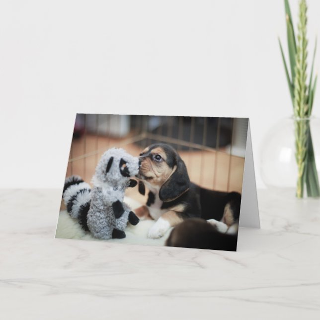 Carte Baby Beagle Et Son Nouveau Jouet (Devant)