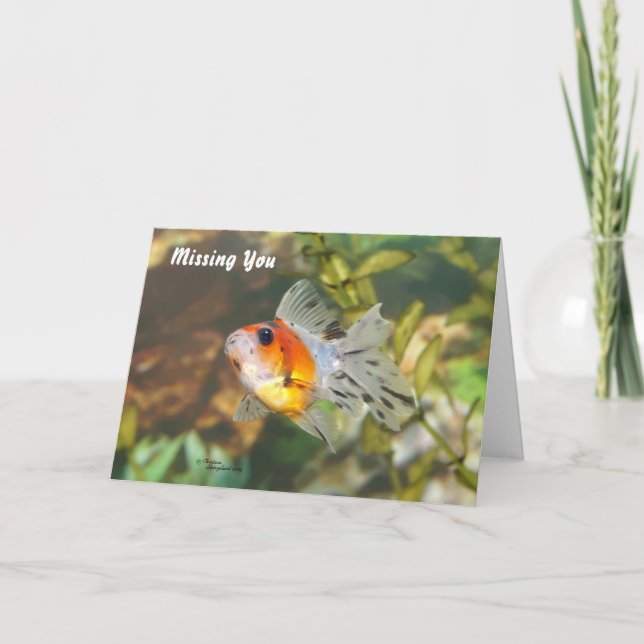 Carte Baby Goldfish Missing you Greeting Card (Devant)