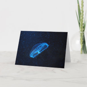 Carte baby jelly fish