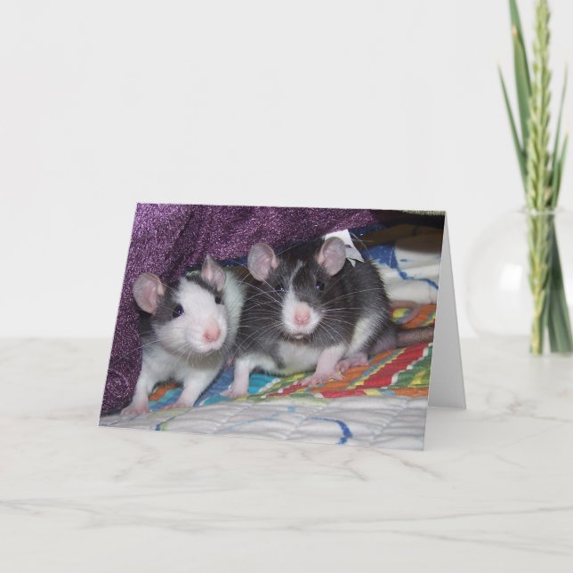 Carte Baby Rats ~Card (Devant)