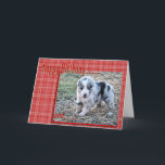 Carte Baby Ruger BD 137-z<br><div class="desc">Cute lil Australian puppy will be enjoy by anyone- especially dog lovers</div>