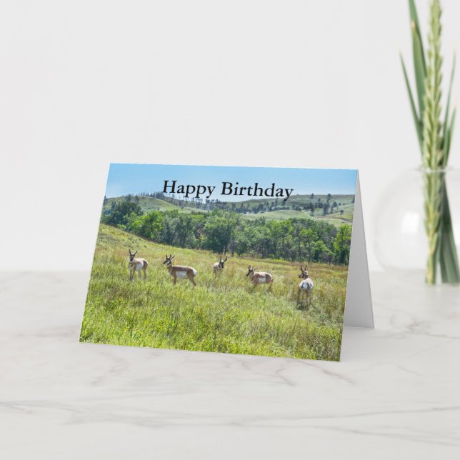 Carte Bachelor Pronghorn Antelopes fête son joyeux anniv (Devant)