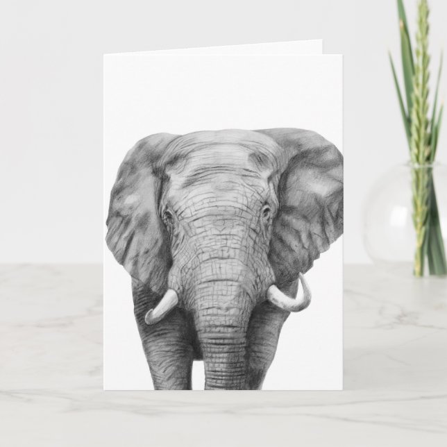 Carte Back Up Plan IV (Devant)