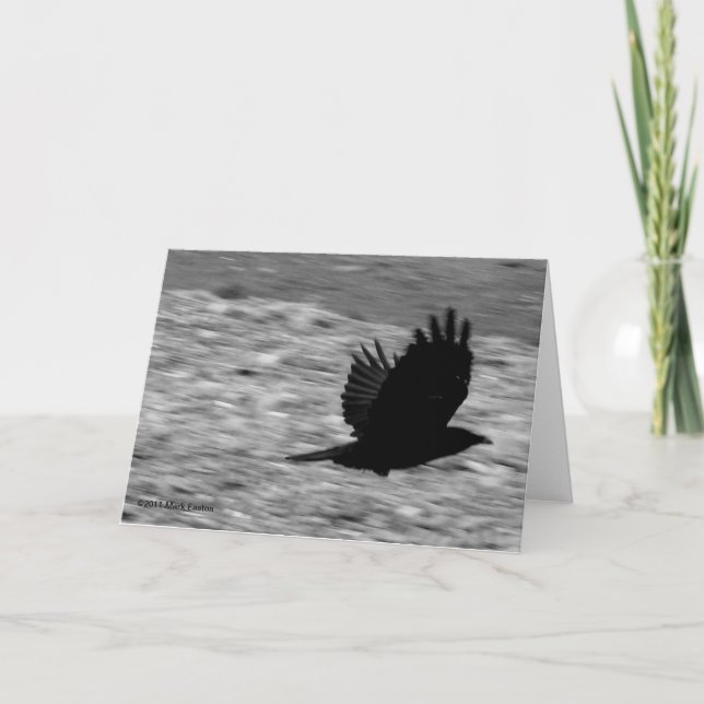 Carte Baie Raven de Kachemak (Devant)