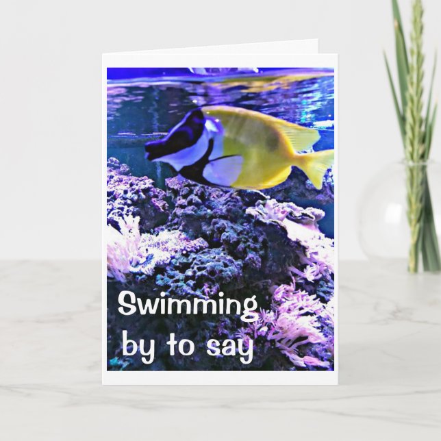 CARTE BAIGNADE AVEC UNE "BLAGUE D'ANNIVERSAIRE" JUSTE PO (Devant)