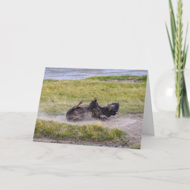 Carte Bain de poussière de bison, parc national de Yello (Devant)