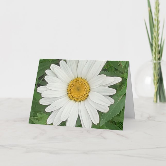 Carte Baise blanche (Devant)
