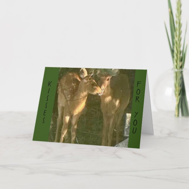 CARTE **BAISER D'ANNIVERSAIRE** DE VOTRE PART S'IL VOUS  (Devant)