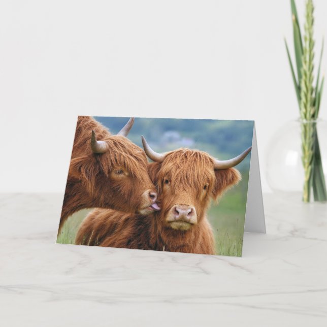 Carte Baiser de vache Highland pour anniversaire (Devant)