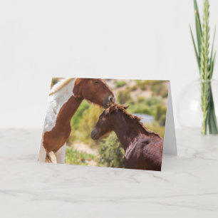 Carte Baisers de Maman