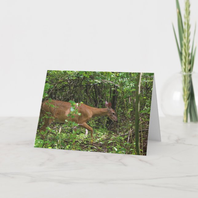 Carte Balade à travers les bois (Devant)