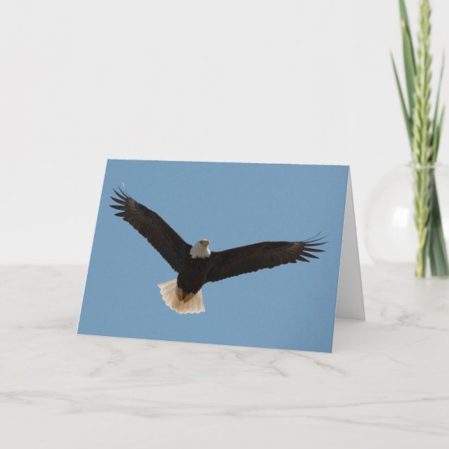 Carte Bald Eagle Soaring-Frameable Art Card (Devant)