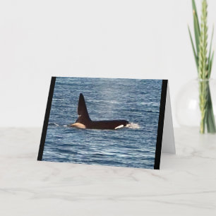 Carte Baleine tueuse John Coe personnalisable Orque de l