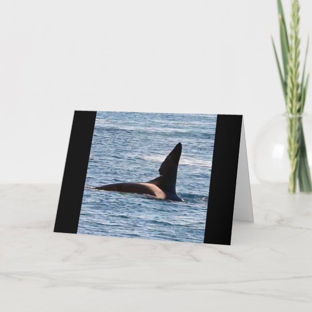 Carte Baleine tueuse John Coe personnalisable Orque de l (Devant)