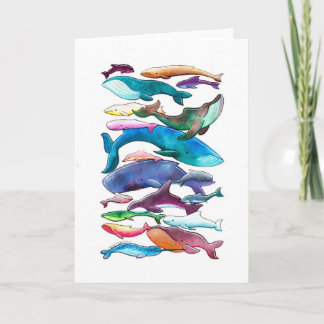 Carte Baleines, dauphins et marsouins