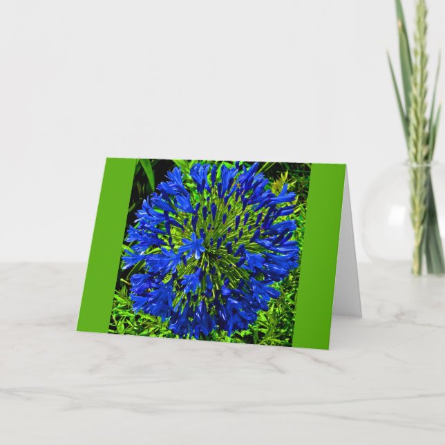 Carte Ball à fleurs bleues (Devant)