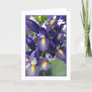 Carte Ballet Iris Photo Greeting Card.
