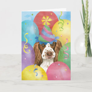 Carte Balloons d'anniversaire Anglais Springer Spaniel