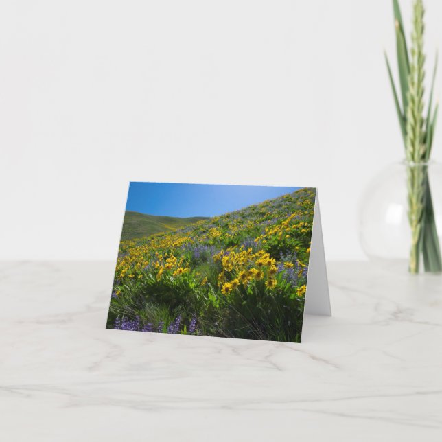 Carte Balsam et Lupine Superfleur vierge (Devant)