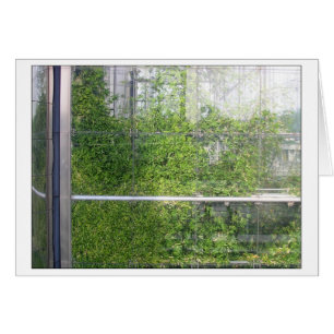 Carte BAMBOOS