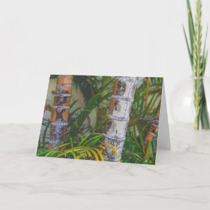 Carte Bambou orange