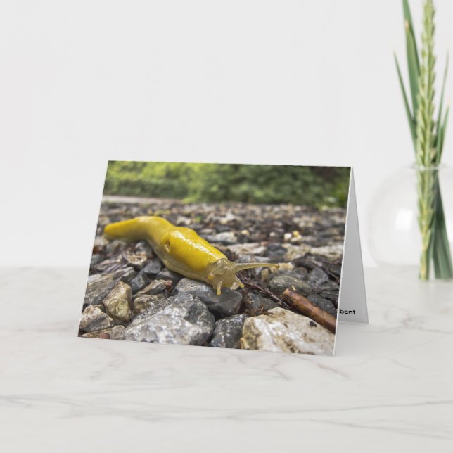 Carte Banana Slug Note (Devant)
