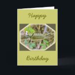 Carte Bande Tussock Moth Caterpillar<br><div class="desc">Cette chenille fait un cocon de ses cheveux et feuilles secs et hivers sur le sol de la forêt. Lorsqu'il apparaît comme un papillon de nuit,  au printemps,  il a une envergure d'ailes allant jusqu'à 2 pouces.</div>