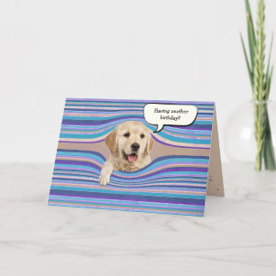 Carte bandes d'anniversaire golden retriever