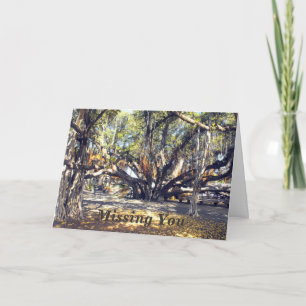 Carte Banyon Tree à Lahaina Maui, Missing You