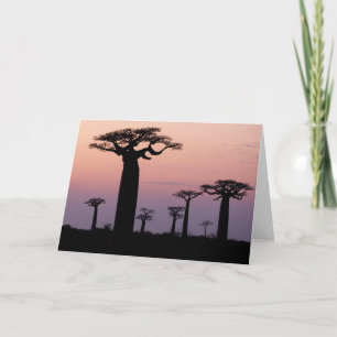 Carte Baobab Alley', Madagascar, Morondava, Afrique,