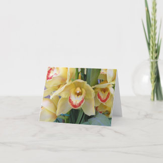 Carte Barbes lumineuses