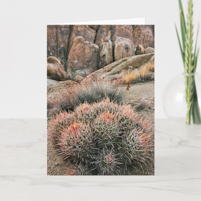 Carte Baril Cactus En Californie (Devant)