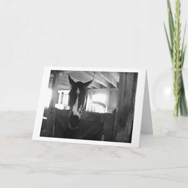 Carte Barn Horse (Devant)