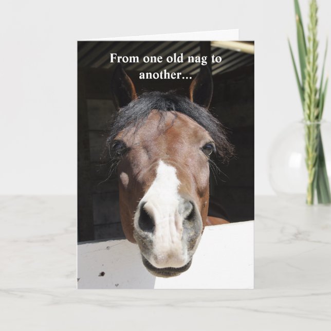 Carte Barn Horse, vieux nag, joyeux anniversaire (Devant)