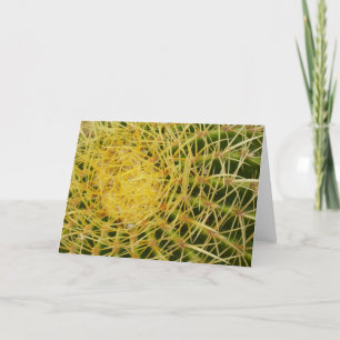 Carte Barrel Cactus Closeup Abstrait Nature Photographie
