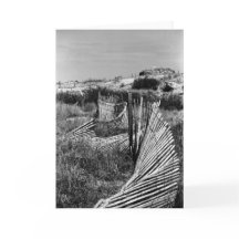 Barrière de dune d'enroulement