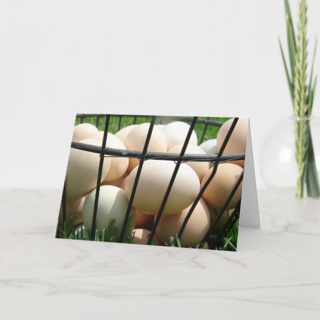 Carte Basket d'Eggs (Devant)