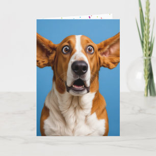 Carte Basset Hound Anniversaire humoristique