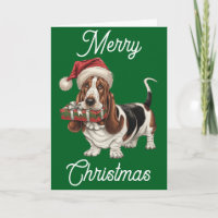 Basset Hound avec un chapeau de Père Noël tenant u