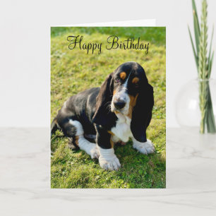 Carte Basset Hound Chien Chien Chien Chien Heureux Anniv