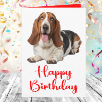 Basset Hound Drôle Anniversaire Amateurs de Chiens