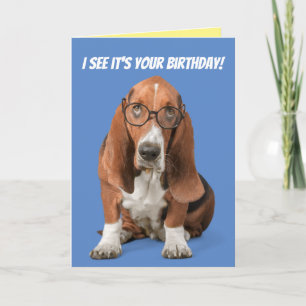 Carte Basset Hound I See It's Your Birthday