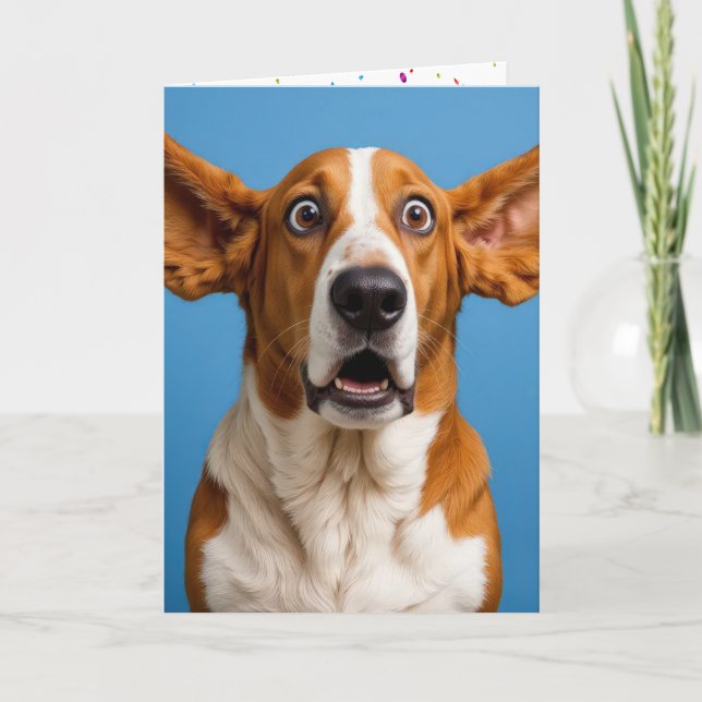 Carte Basset Hound Surpris Anniversaire (Devant)