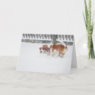 Carte "Basset Hounds in the Wild"