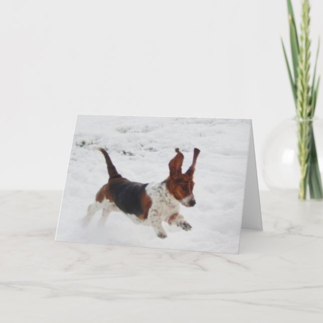 Carte "Basset Hounds in the Wild" (Devant)