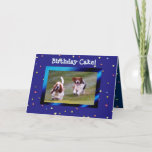 Carte Basset Hounds on Funny Birthday Card avec gâteau<br><div class="desc">Basset Hounds on Funny Birthday Card avec gâteau</div>