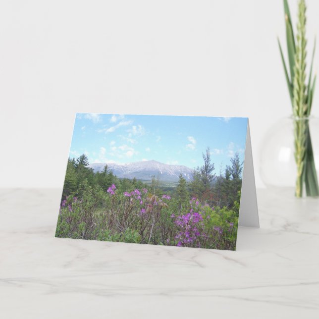 Carte Bâti Katahdin et fleurs sauvages (Devant)
