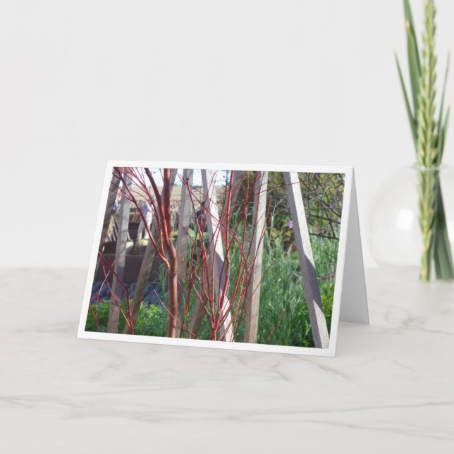 Carte Bâtons rouges et enjeux blancs (Devant)