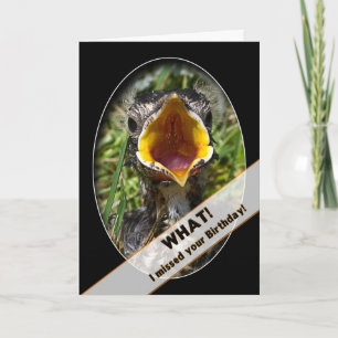 CARTE BATTU ANNIVERSAIRE - BÉBÉ OISEAU SURPRISE